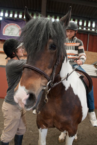 Wormwood Scrubs Pony Centre